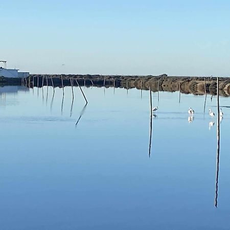 Herdade Dos Salgados Do Fialho Фаро Екстериор снимка