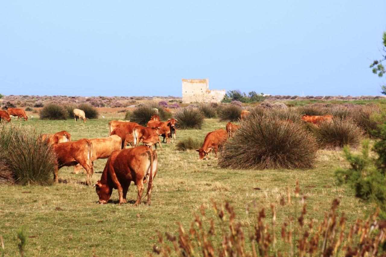 Herdade Dos Salgados Do Fialho Фаро Екстериор снимка