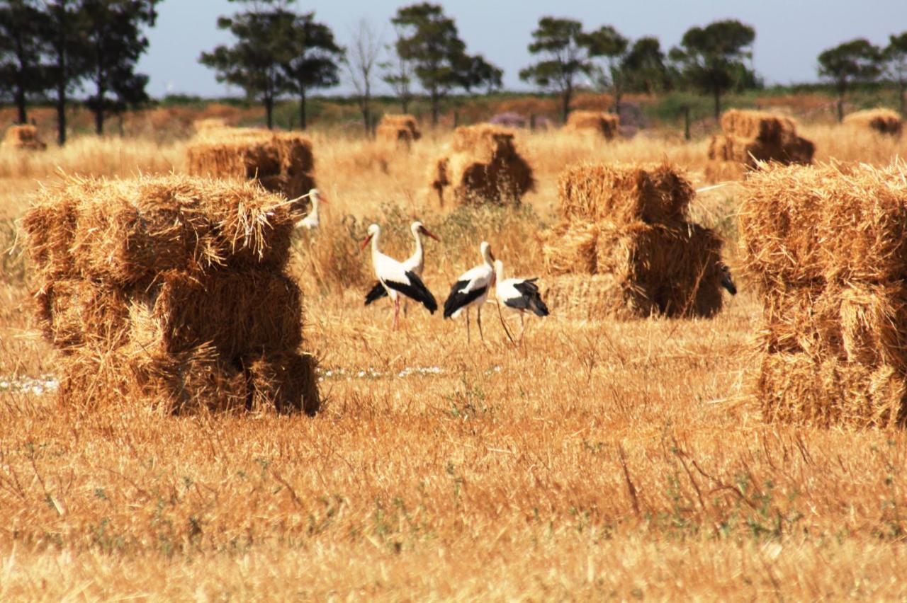 Herdade Dos Salgados Do Fialho Фаро Екстериор снимка