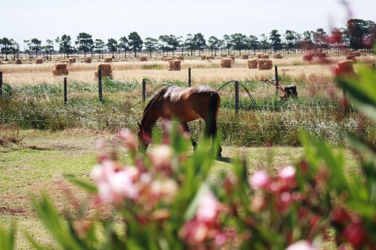 Herdade Dos Salgados Do Fialho Фаро Екстериор снимка