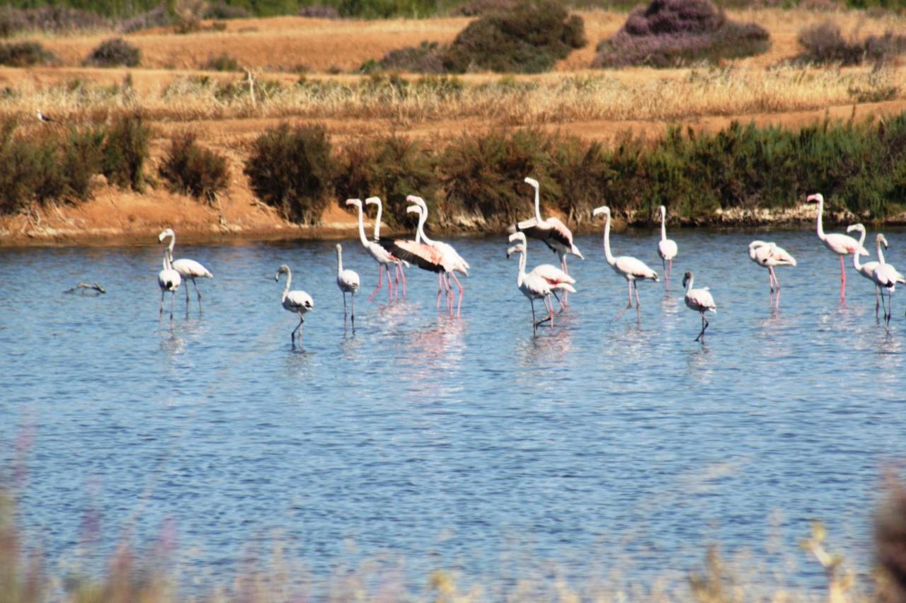Herdade Dos Salgados Do Fialho Фаро Екстериор снимка