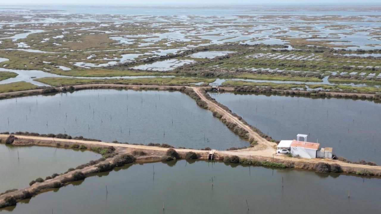 Herdade Dos Salgados Do Fialho Фаро Екстериор снимка