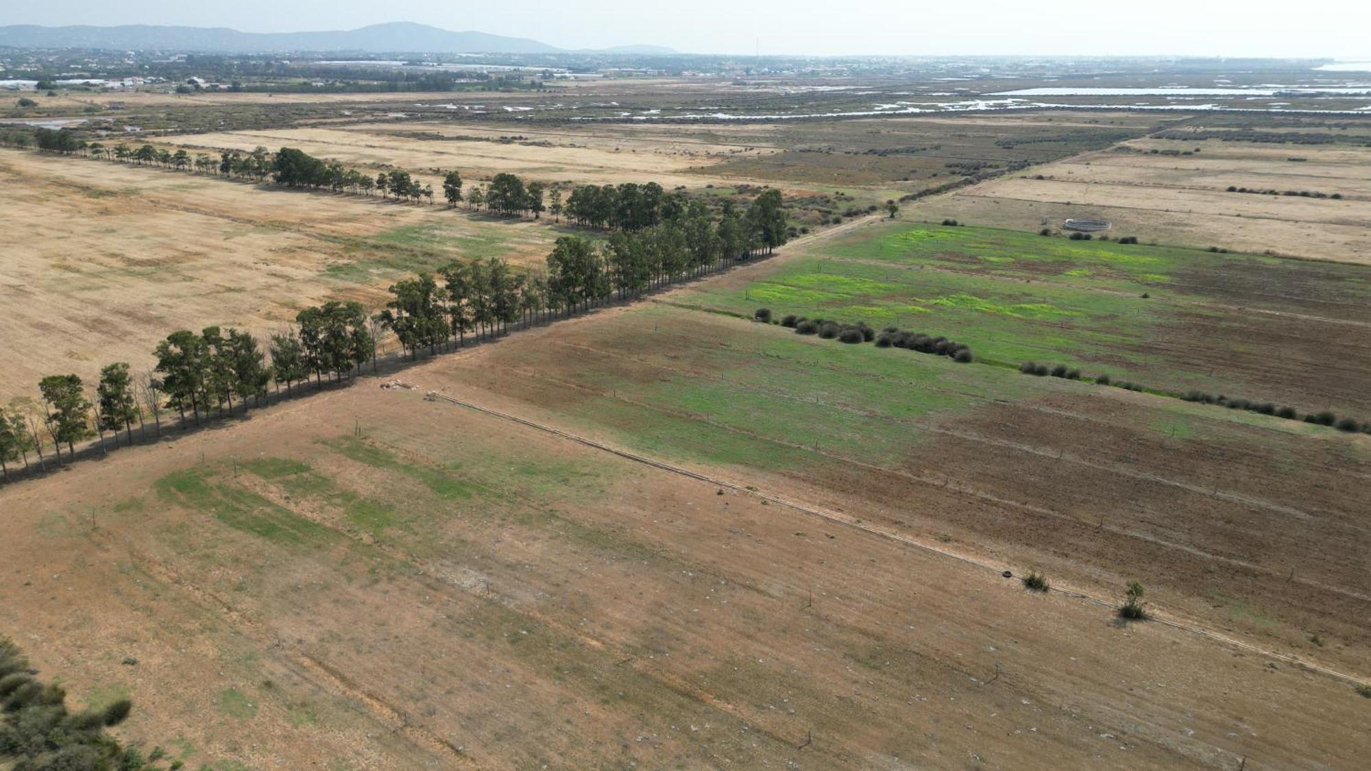 Herdade Dos Salgados Do Fialho Фаро Екстериор снимка