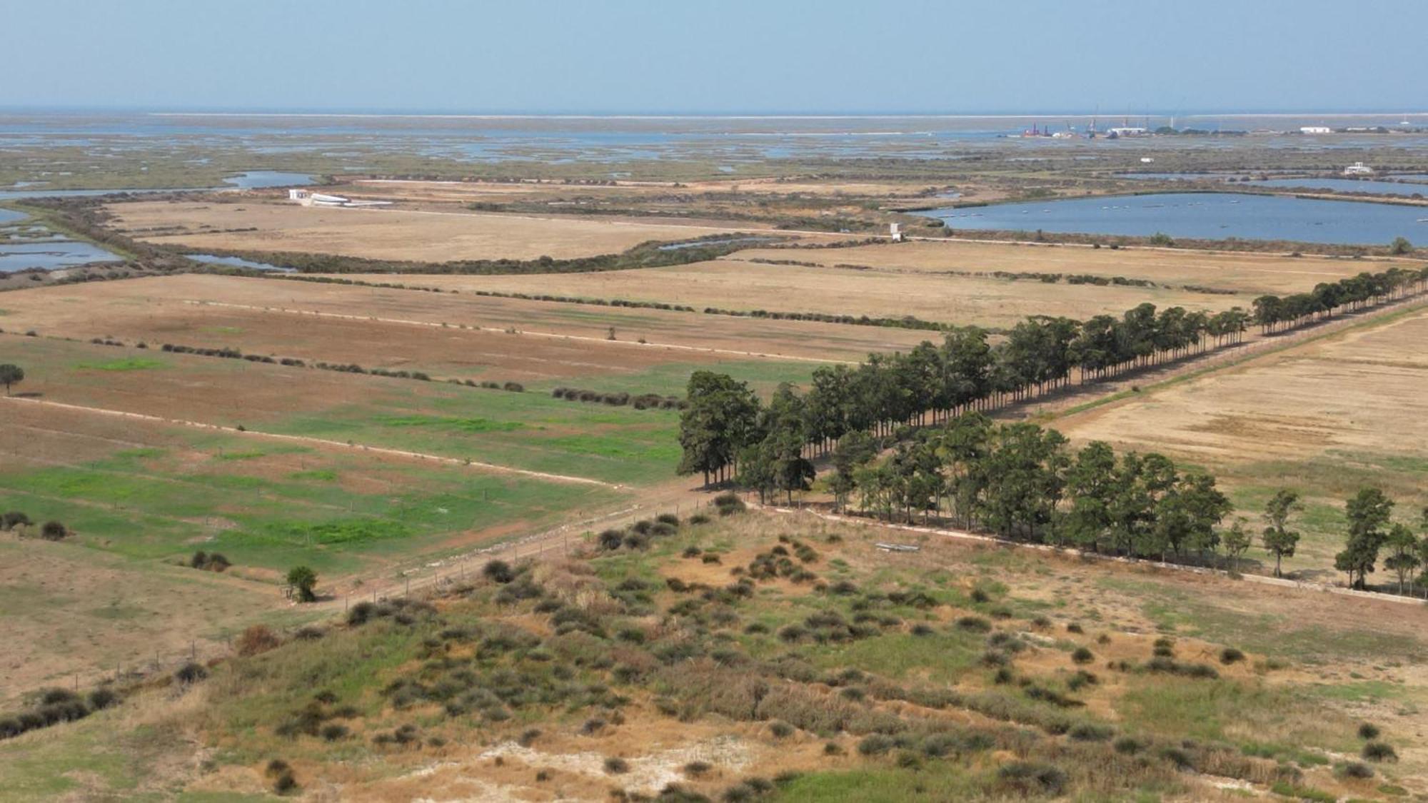 Herdade Dos Salgados Do Fialho Фаро Екстериор снимка